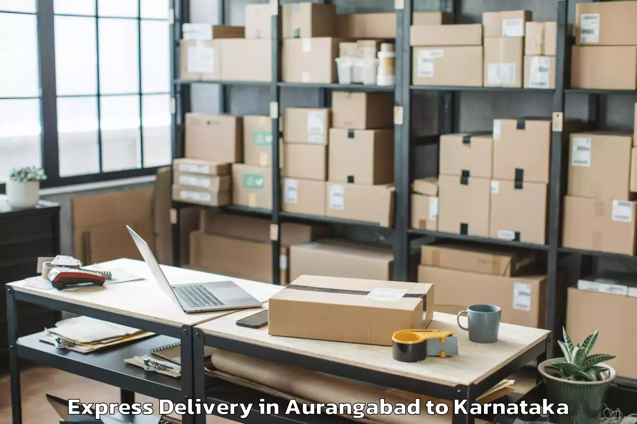 Professional Aurangabad to Kunigal Express Delivery